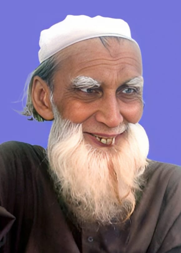 ভোলা বোরহানউদ্দিনের গুণী শিক্ষক আব্দুল মান্নান মাষ্টারের দাফন সম্পন্ন